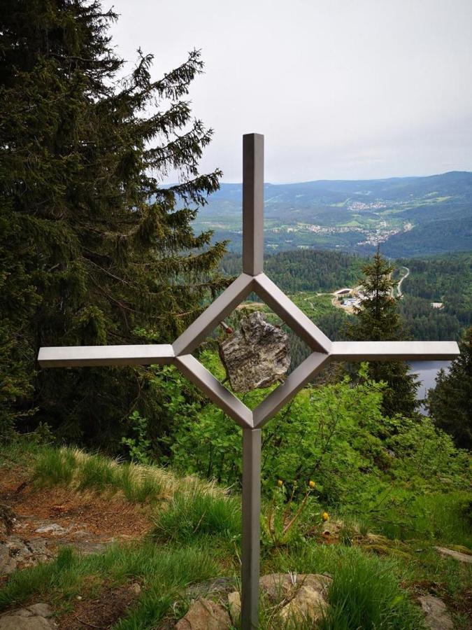 Idyllisch Gelegene Ferienwohnung Im Herzen Des Bayerischen Waldes Zachenberg Eksteriør billede