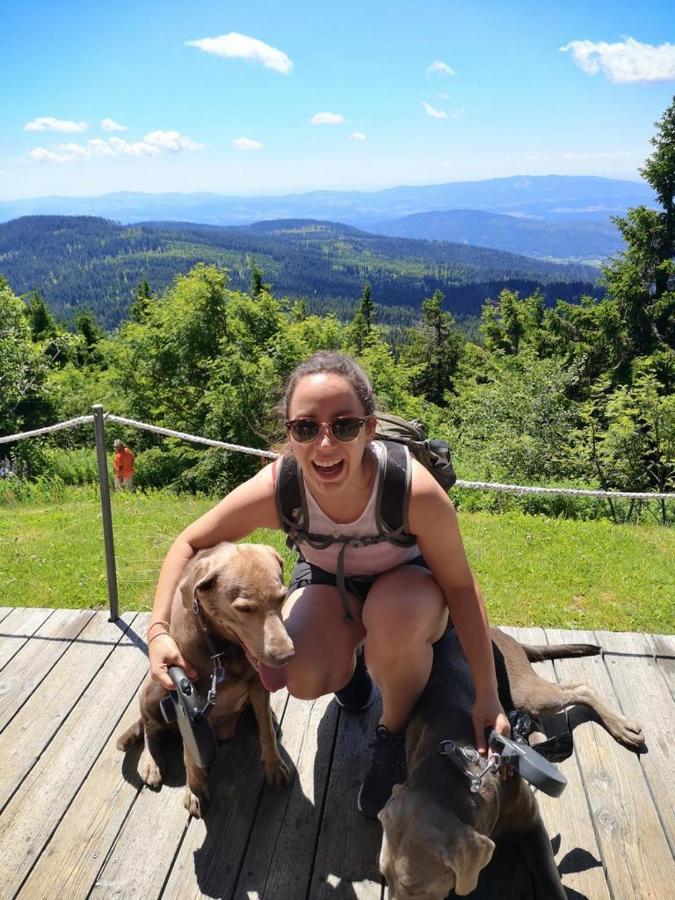 Idyllisch Gelegene Ferienwohnung Im Herzen Des Bayerischen Waldes Zachenberg Eksteriør billede